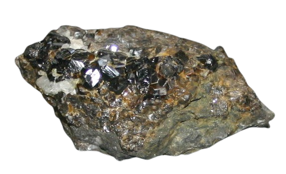 {{brizy_dc_image_alt imageSrc=